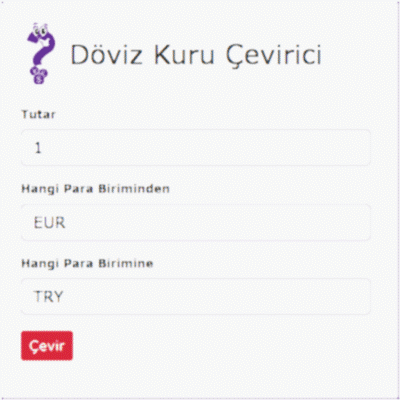 Döviz Kuru Çevirici